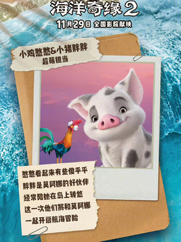 小鸡憨憨HeiHei